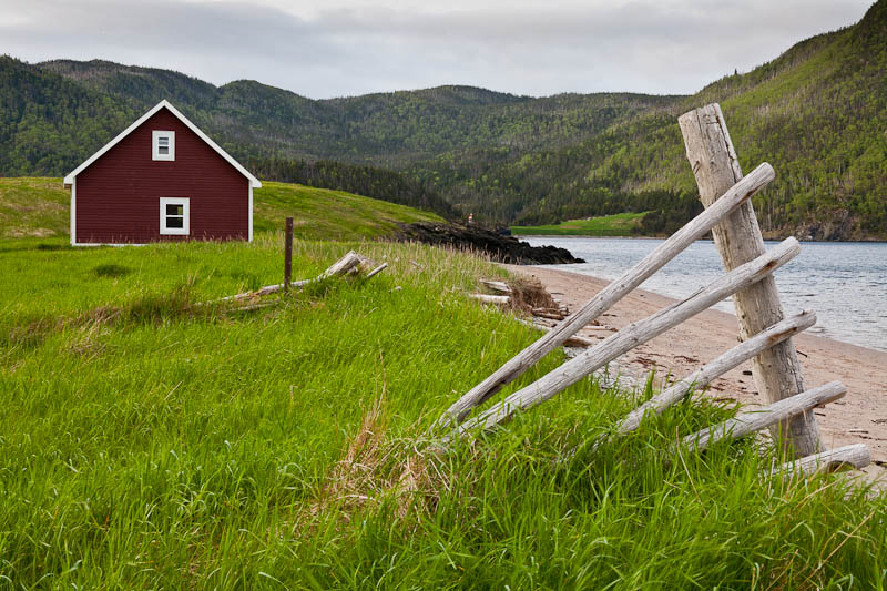 Newfoundland No-0415.jpg